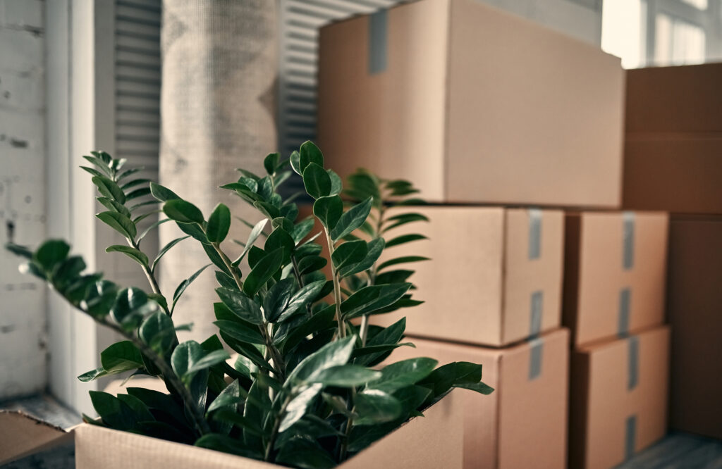 bedrijfsverhuizing