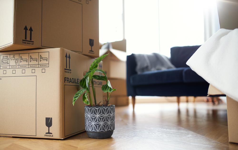 ProfMovers